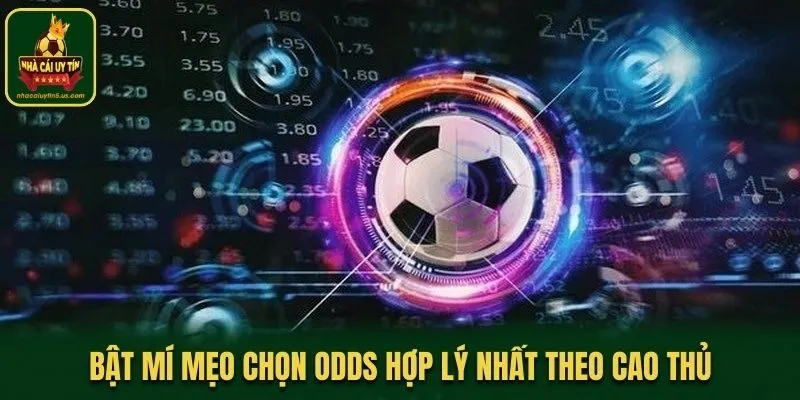 Bật mí mẹo chọn Odds hợp lý nhất theo cao thủ