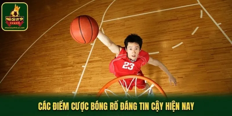 Các điểm cược bóng rổ đáng tin cậy hiện nay