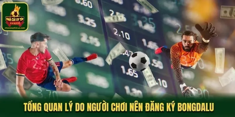 Giới thiệu tổng quan lý do người chơi nên đăng ký Bongdalu