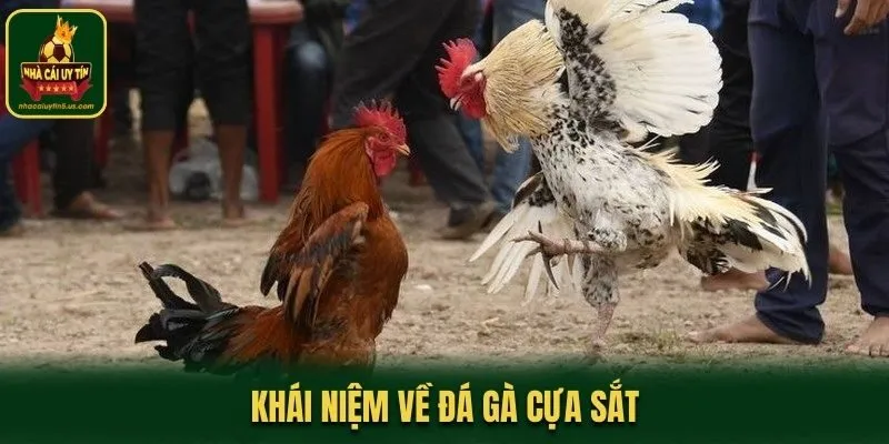 Khái niệm về đá gà cựa sắt